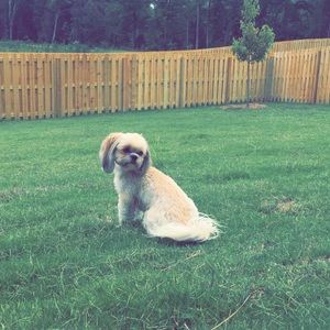 Meet your Posher, Levi